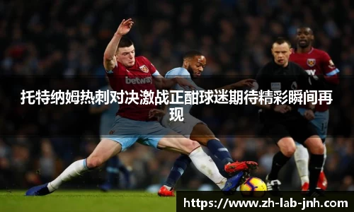 托特纳姆热刺对决激战正酣球迷期待精彩瞬间再现